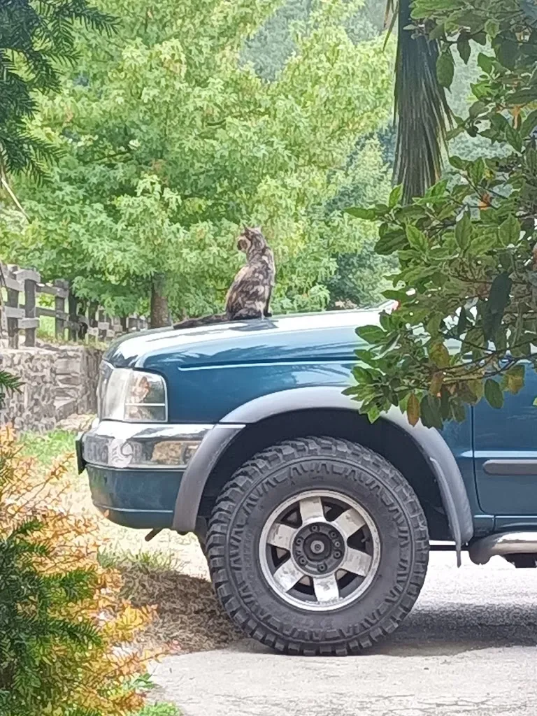 michele pennelli_Venta de Ulzama_Ultzama_review