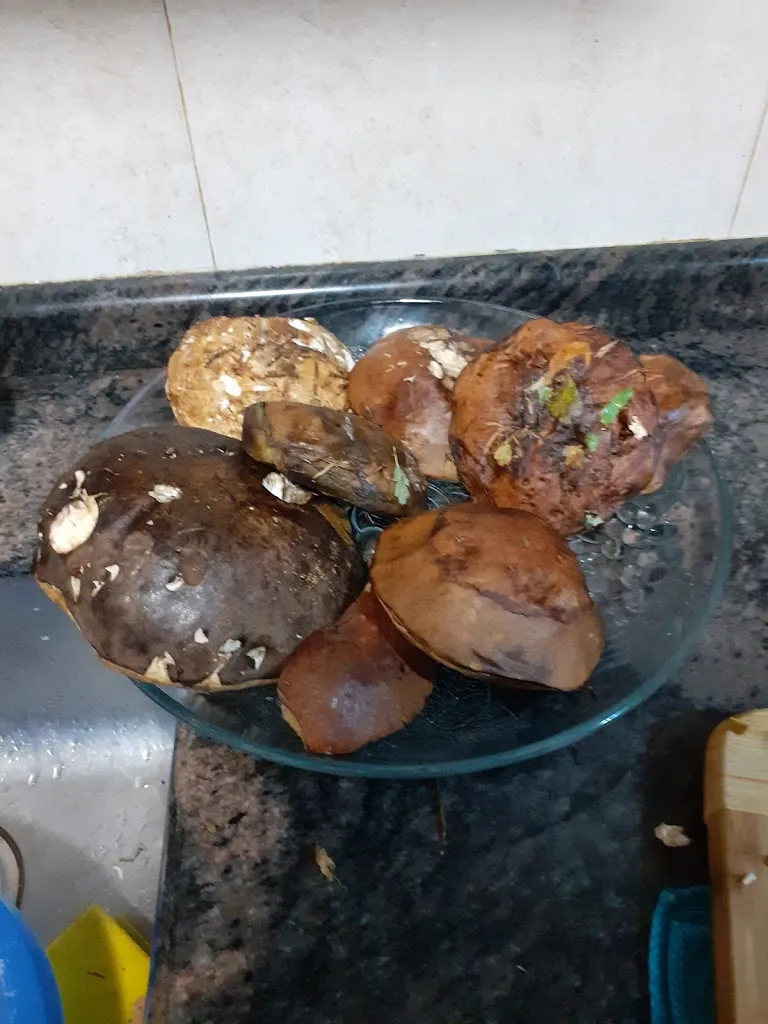 Menu_Bar abaco_Tafalla_image_2