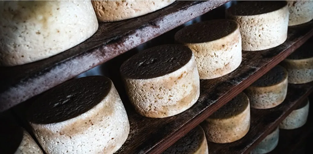 Menu_Bar 17 Cortes_Tudela_image_6