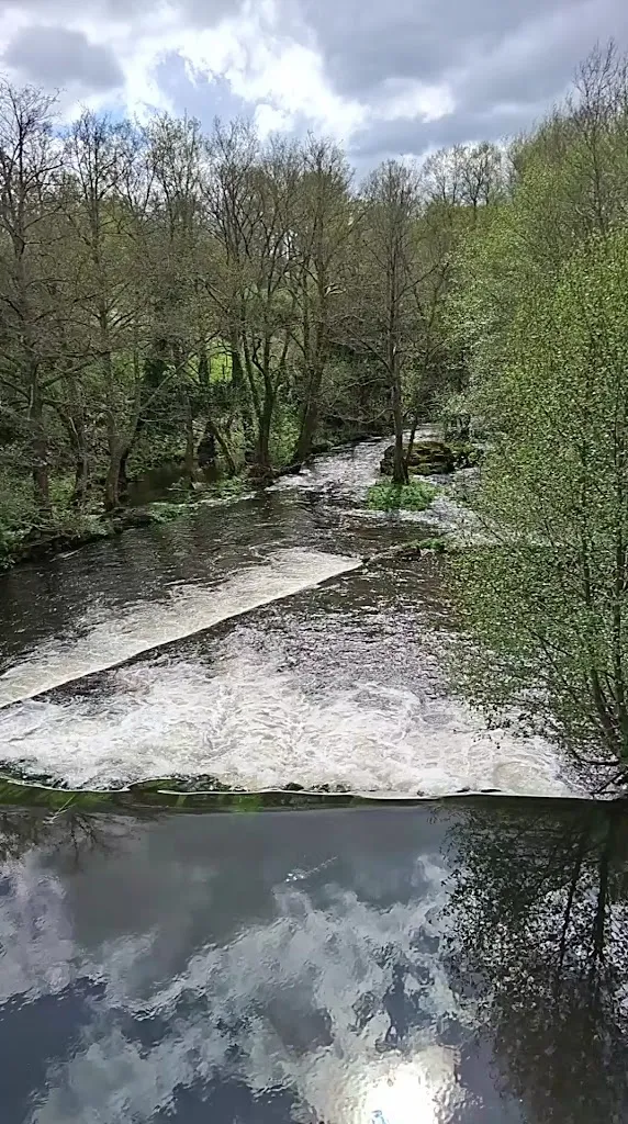 Holanda Rivera Veloso_Burga de Baños de Molgas_Baños de Molgas_review