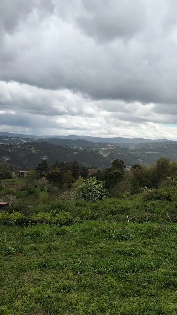 Silvia Díaz Domínguez_Café-Bar Parada Barbadás_Barbadás_review