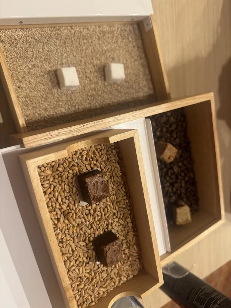 Dacio de Haro_Lado Restaurante_Calvos de Randín_review