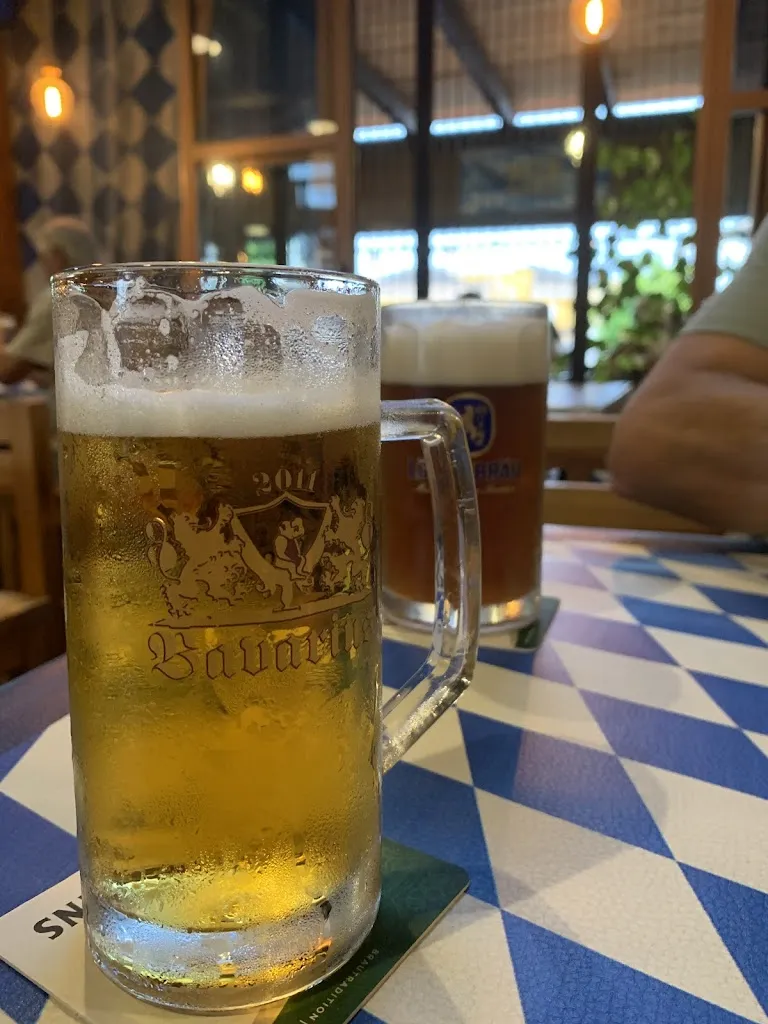 Rebecca Thijm_Bavarius_San Fulgencio_review