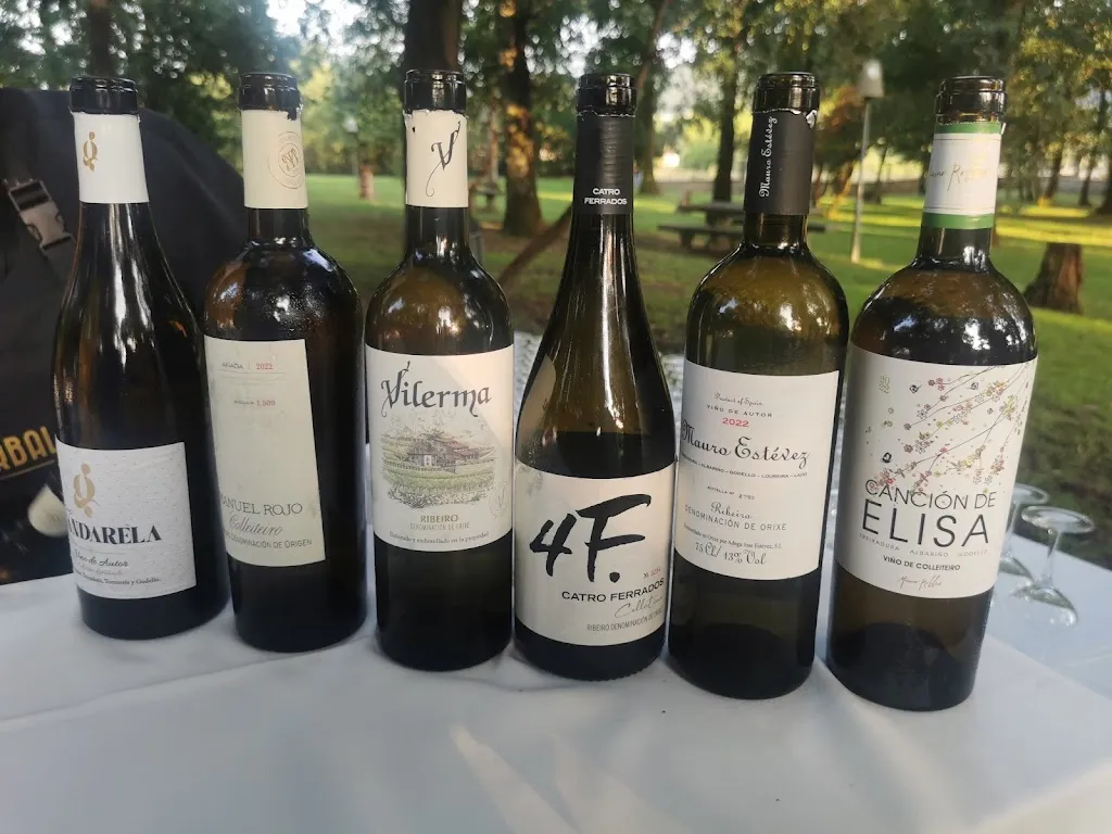 Menu_Restaurante A Carballeira de Santa Cruz_Boborás_image_8