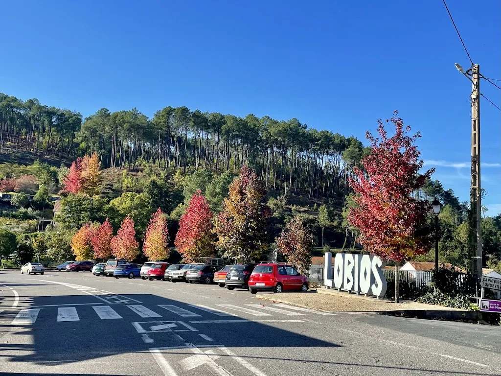 Deb Litman_Grill LUMA_Lobios_review