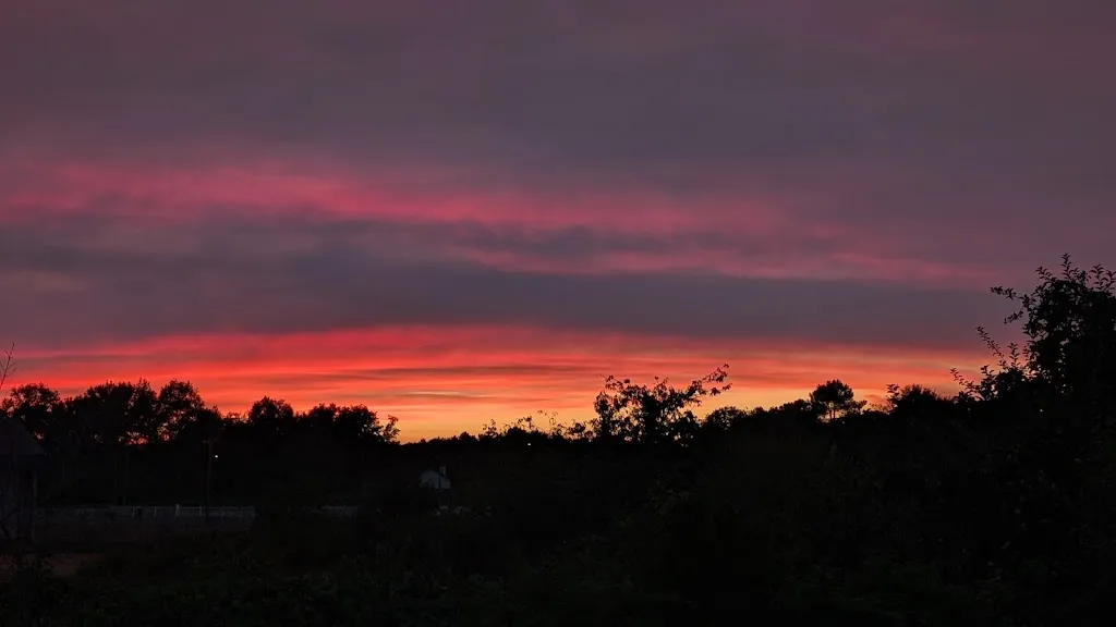 xil Papuxas_Restaurante La Muralla_Carballiño O_Bewertung