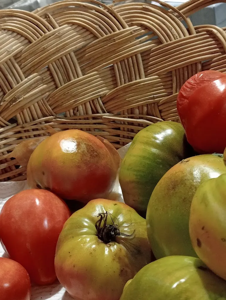 Mario_Tapería O Pendello_Carballiño O_review