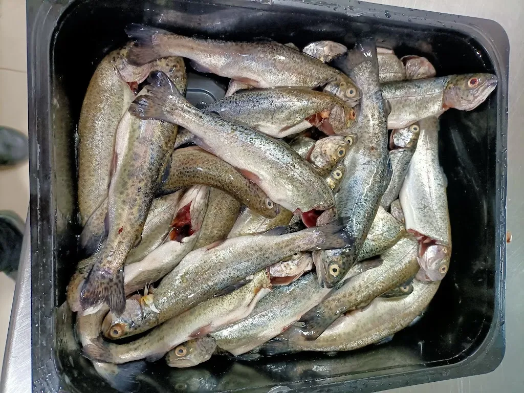 Casa Ana_Punxín_slider_image_3