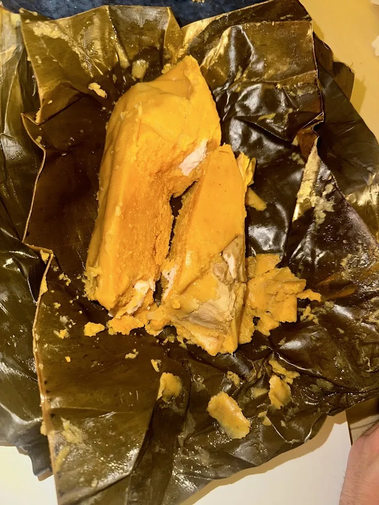 Annarosa Iammarrone_Arriba Perú_Rubiá_review