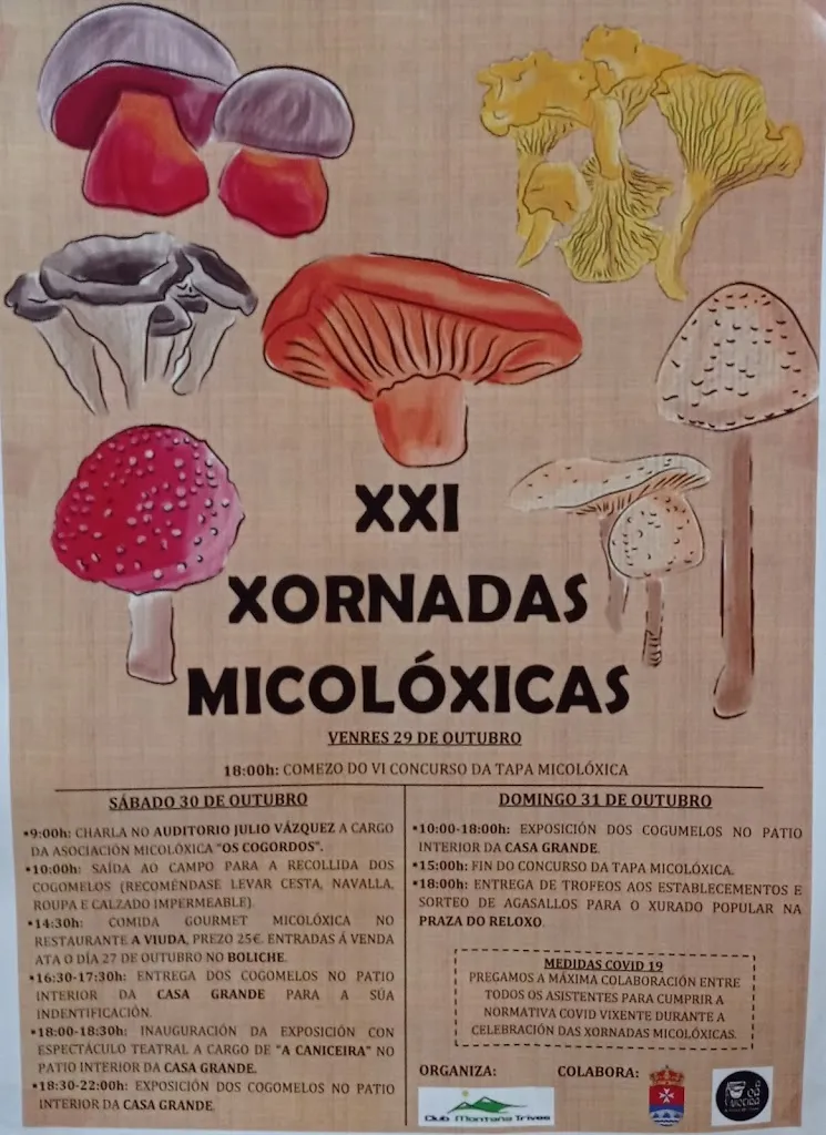 Menu_Casanova Restaurante Café-Bar Pensión_Pobra de Trives A_immagine_1