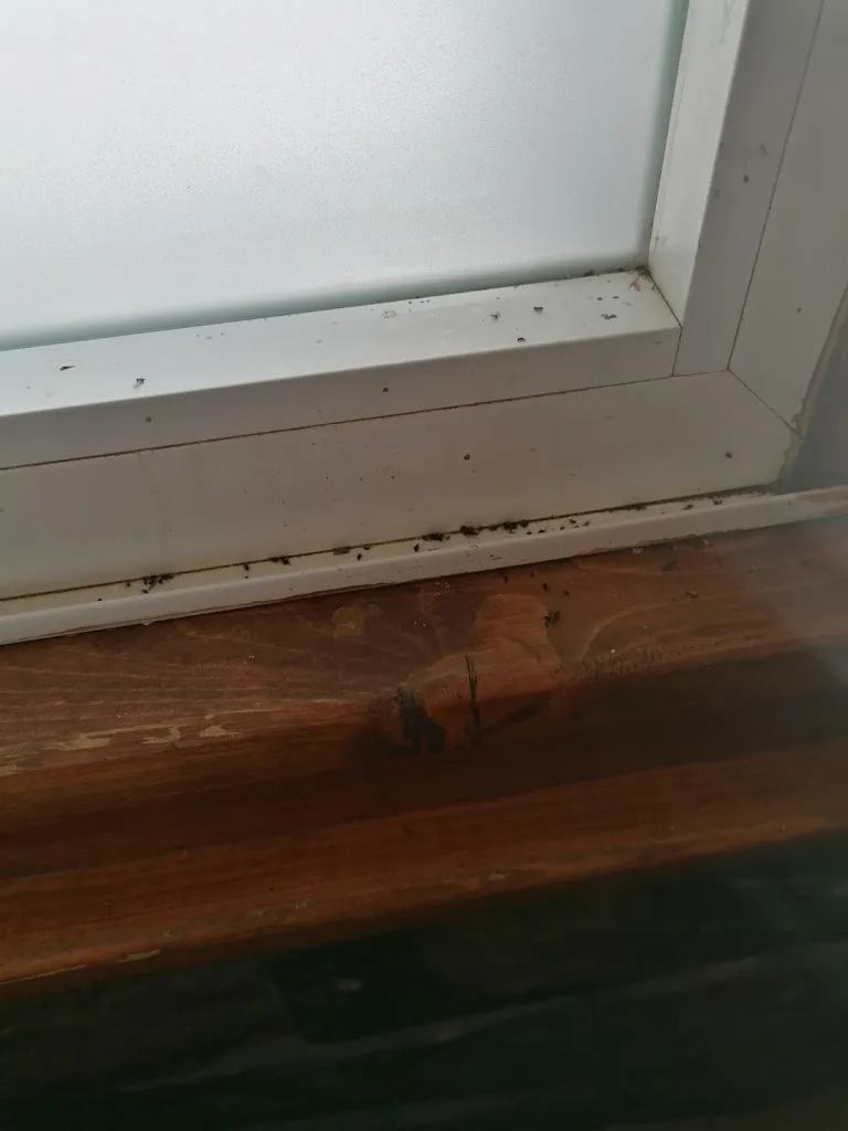 sara pereiras lodeiro_Casanova Restaurante Café-Bar Pensión_Pobra de Trives A_recensione