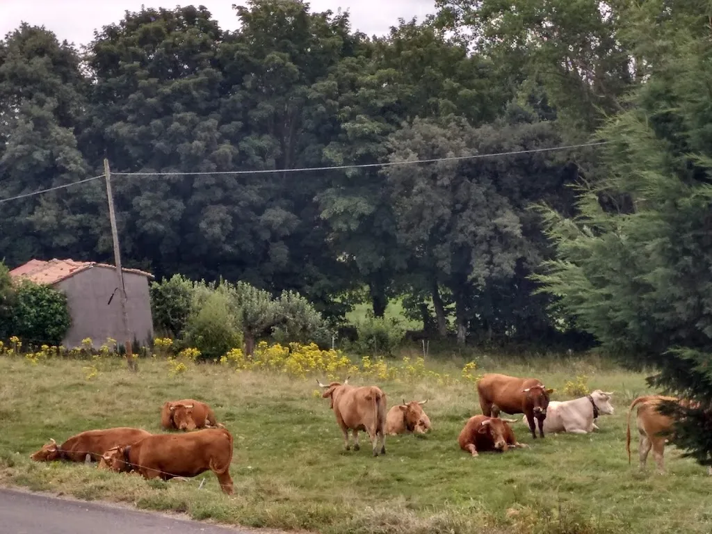 Bar O Cruceiro_San Xoán de Río_slider_image_3