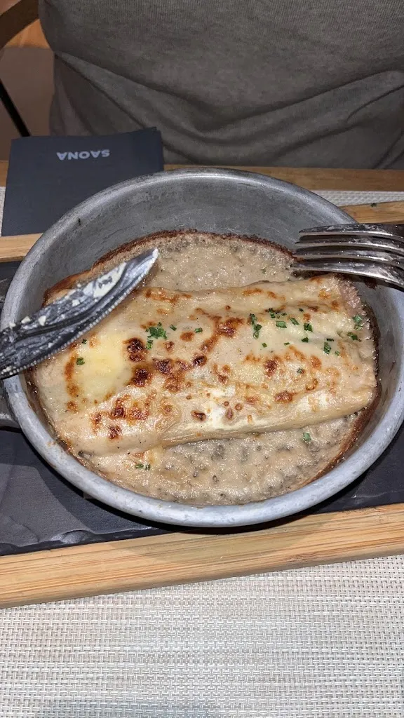 Anne Chasiotakes_Saona Teixeira_Teixeira A_review