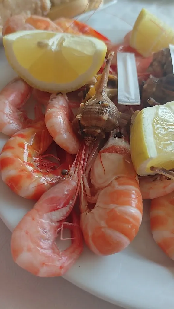 Marisquería El Jardín_San Vicente del Raspeig/Sant Vicent del Raspeig_slider_image_2