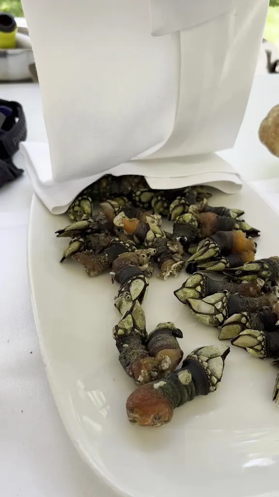 Casa Román - Pontevedra_Pontedeva_slider_image_2