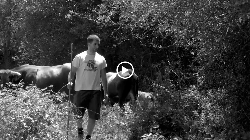 A Arca da Noe_Vilar de Santos_slider_image_2