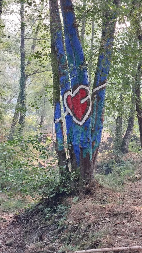 David Garrido_Ecoespazo O Rexo_Xunqueira de Ambía_review