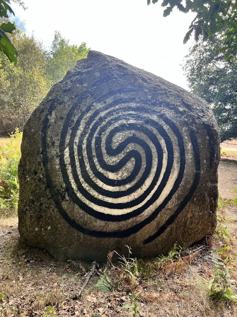 Brais Gómez García_Ecoespazo O Rexo_Xunqueira de Ambía_review