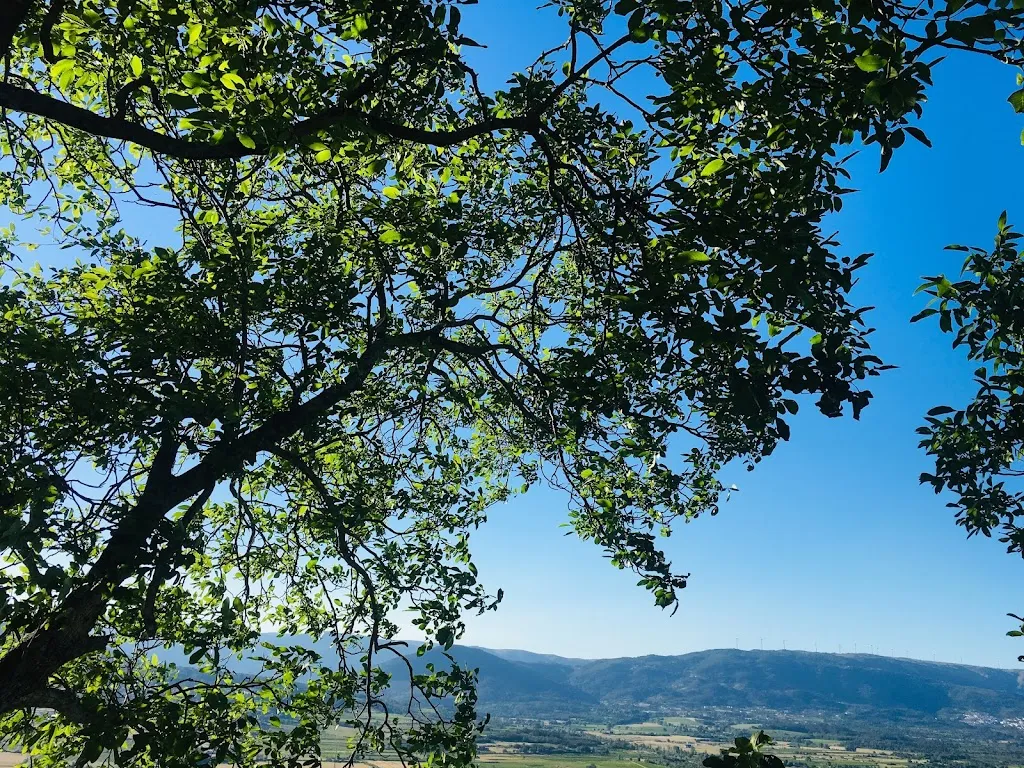 Laura Brazan_Casa do Castelo_Belmonte de Campos_review