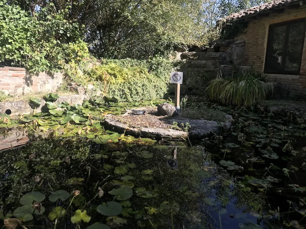 Montserrat Crespo_Restaurante El Molino_Bustillo de la Vega_review