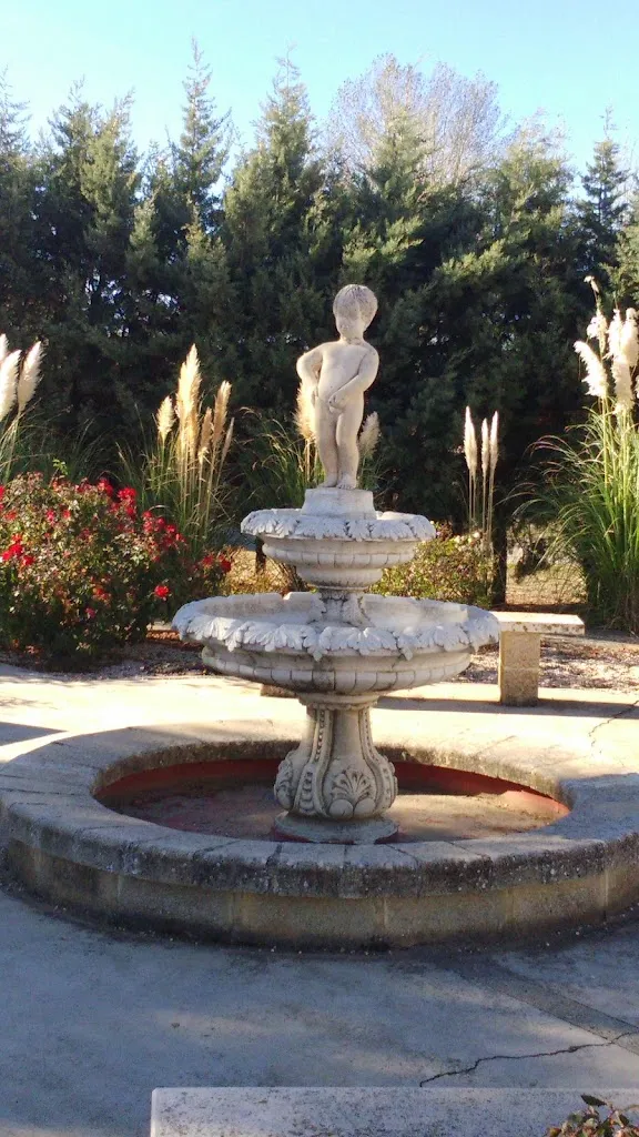 CANARIOS, BAR_Cervatos de la Cueza_slider_image_2