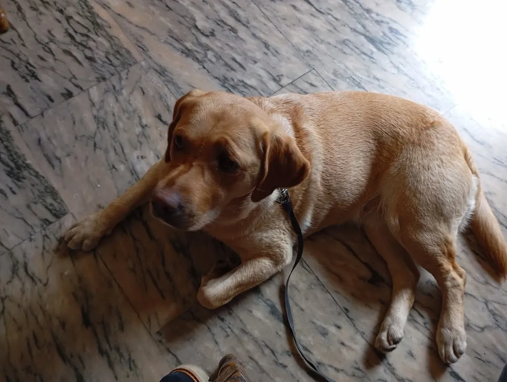 Juanjo_RESTAURANTE SAN FRANCISCO BODAS Y BANQUETES_Guardo_review