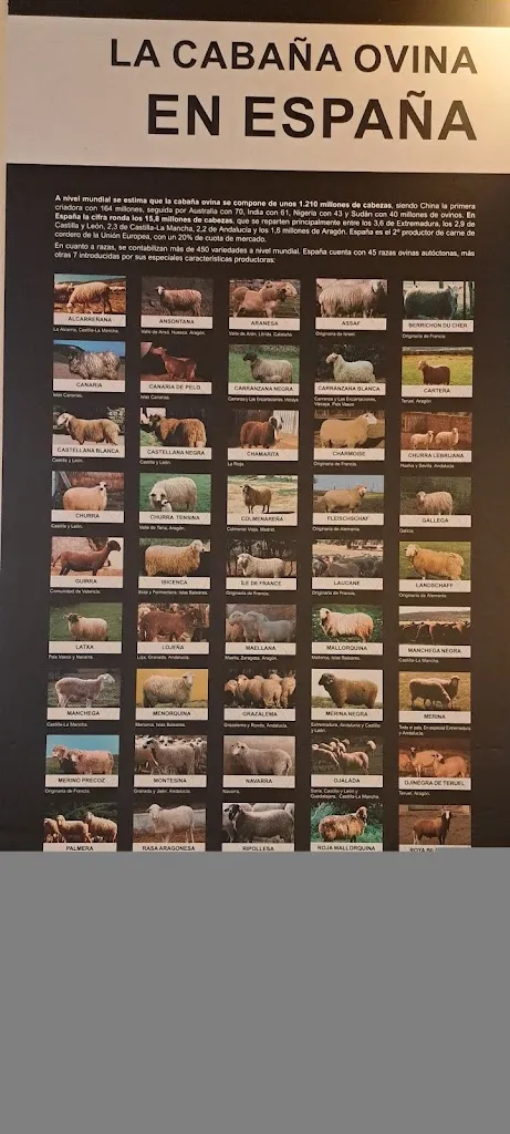 Mario Aller San Millán_Gastroespacio Cultural del Ovino_Osornillo_review