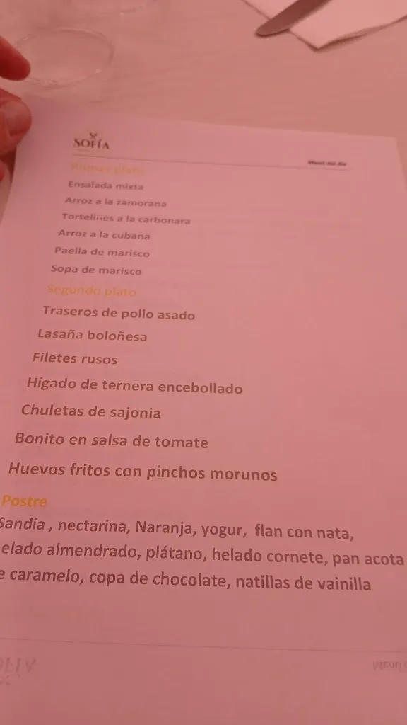Menu_Restaurante Pensión Sofía_Paredes de Nava_image_2
