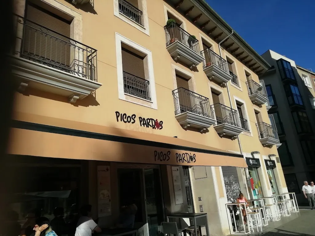 Bar Picos Pardos restaurant in Paredes de Nava