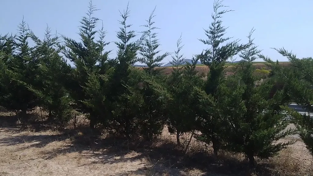 Área de descanso Prádanos de Ojeda_Prádanos de Ojeda_slider_image_2