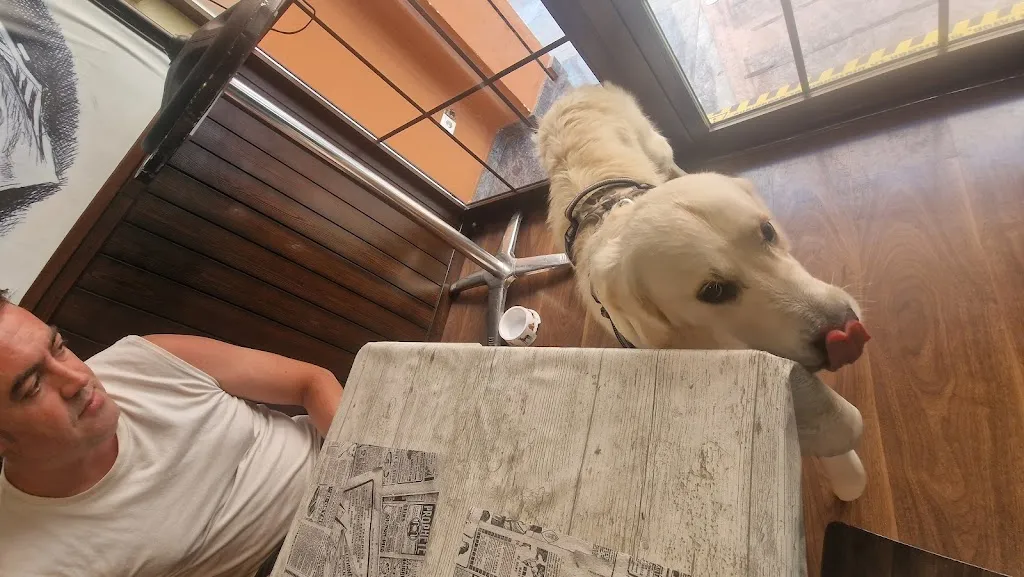 Rada Kalsi_Restaurante HISPANO _Requena de Campos_review