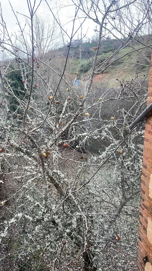 Reyes CubasPeña_El Molino De Respenda_Respenda de la Peña_review