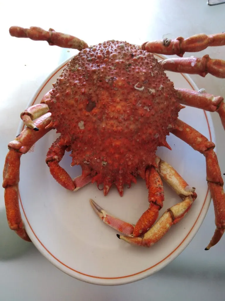 Menu_Bar Vival_Santibáñez de la Peña_image_4