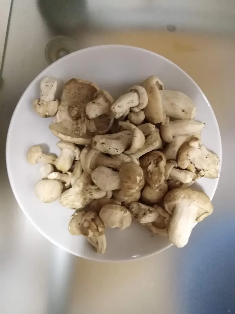 Menu_Bar Vival_Santibáñez de la Peña_image_8