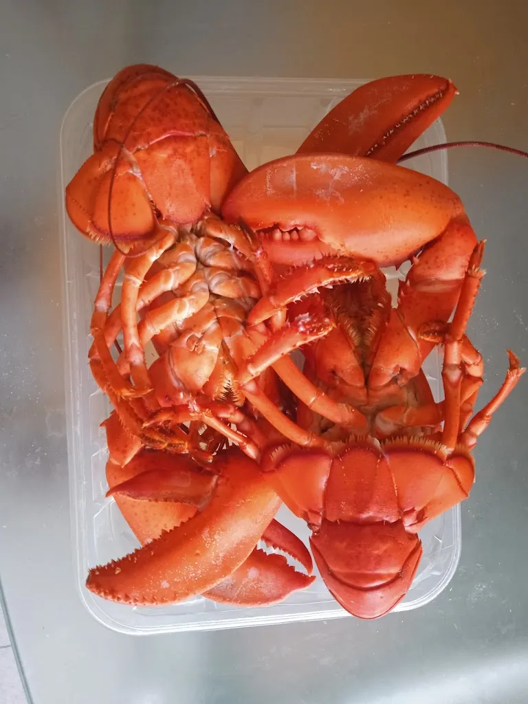 Cafeteria Mario_Santibáñez de la Peña_slider_image_2