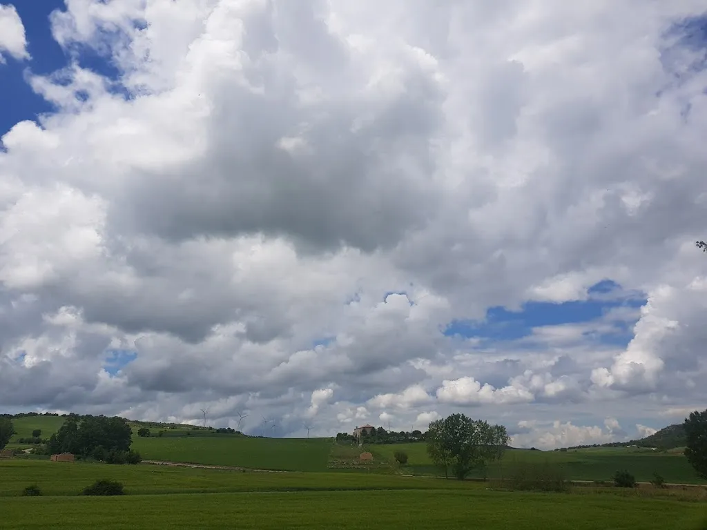 javieragaudomanso a_La Cuesta del Acedo_Valde-Ucieza_review