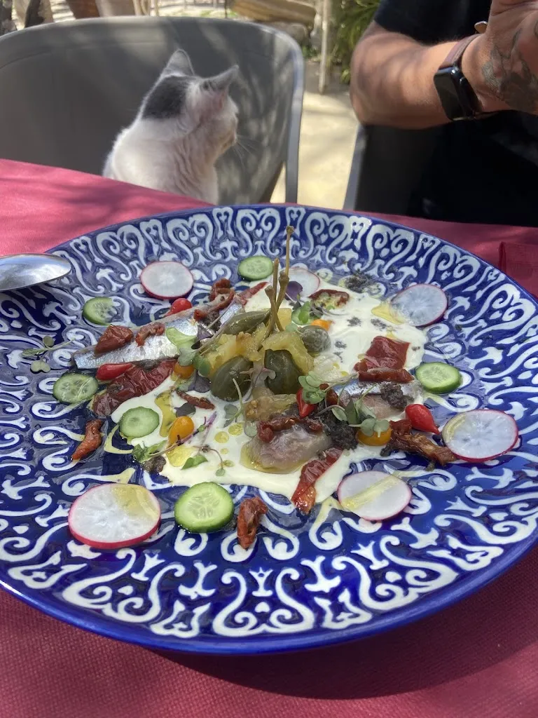 AM B_Restaurante La Cierva_Tibi_review