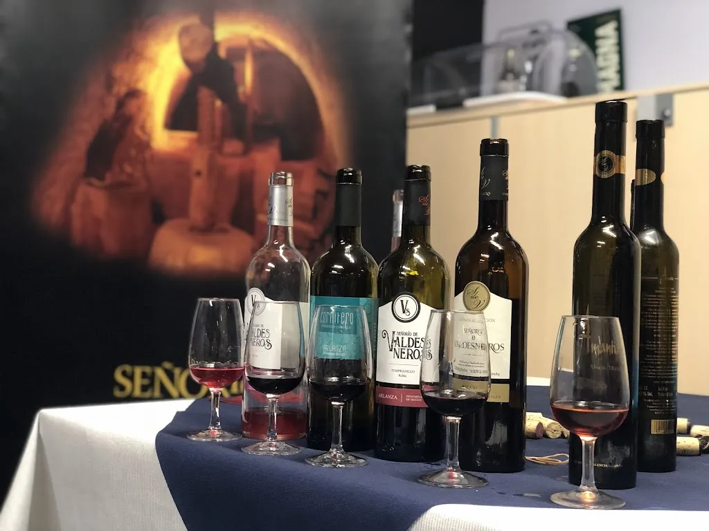 Javier Briones_La Terraza de Villalobón_Villalobón_review