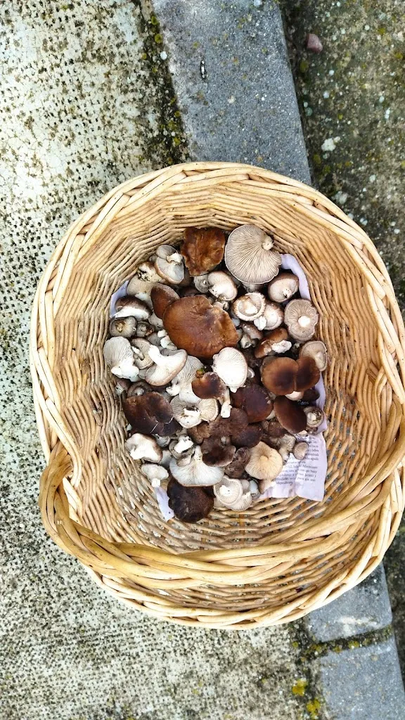 Teleclub_Villanuño de Valdavia_slider_image_2