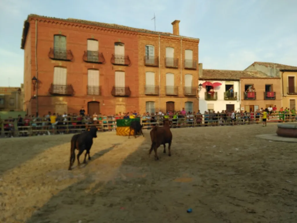 Mesón la Rojina_Villarramiel_slider_image_2