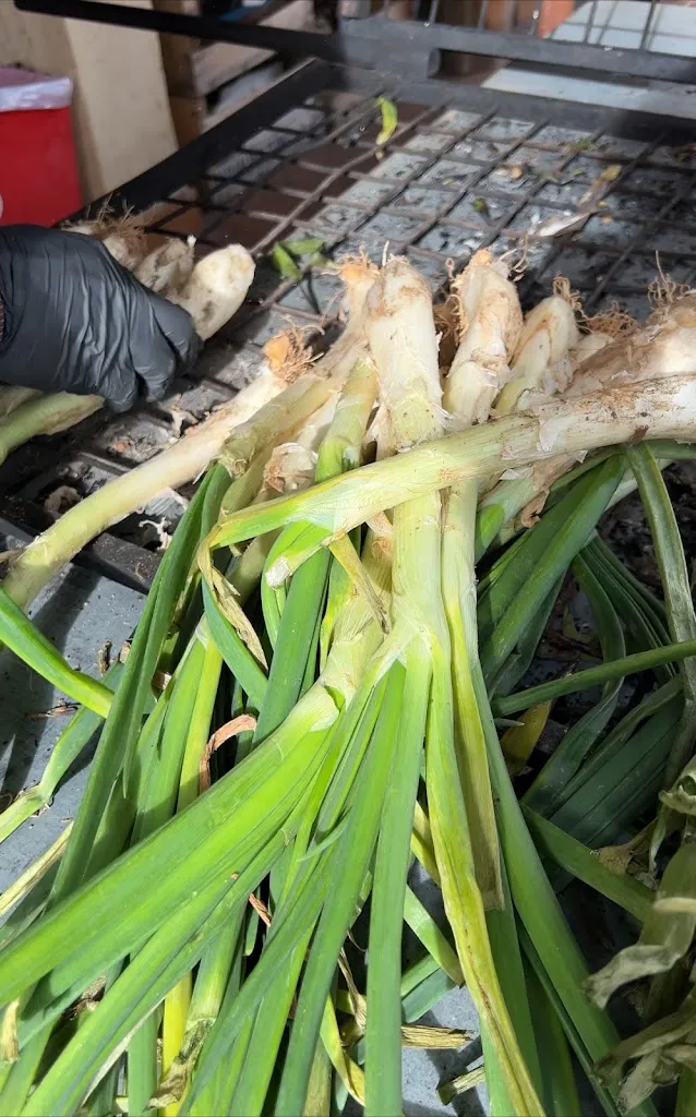 Ольга Авдей_Hotel Rural El Sester_Torremanzanas/Torre de les Maçanes la_recensione