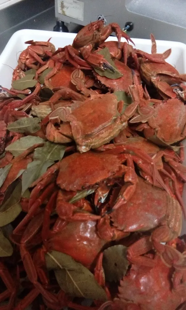 Menu_Taperia 5 Jotas_Caldas de Reis_image_7