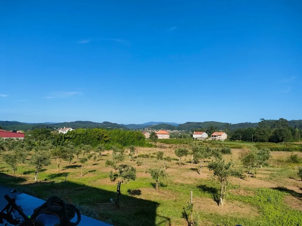 Michal Soltowski_Olivo de Reis_Caldas de Reis_review