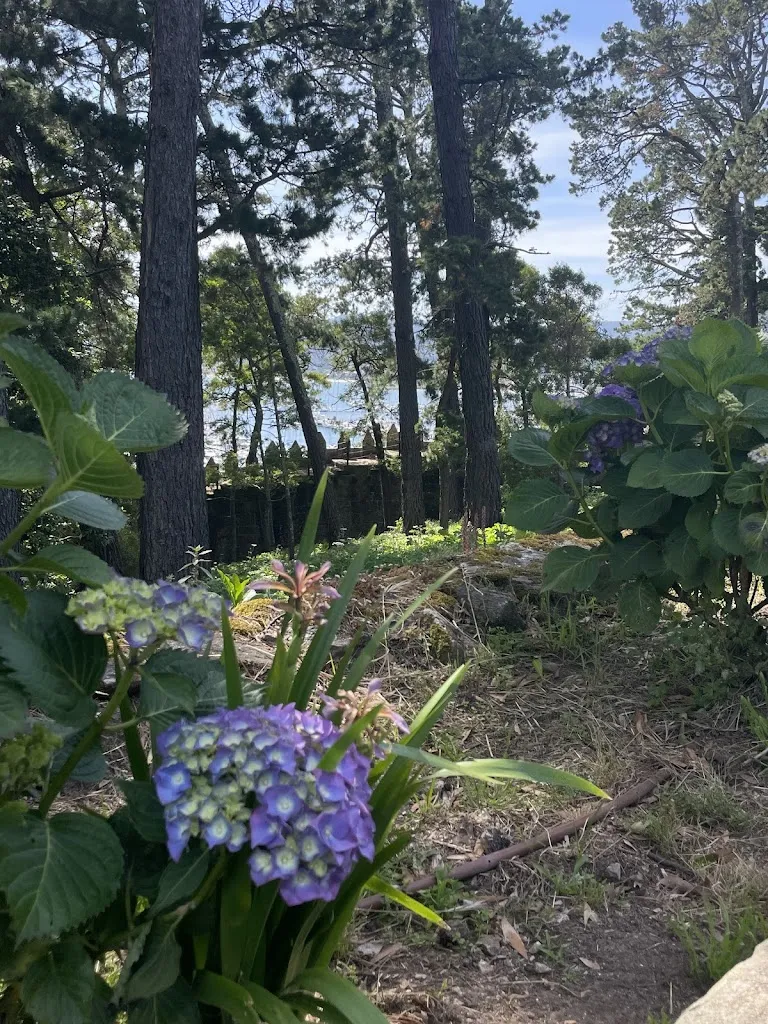 Tippi Breakwell_Parador de Baiona_Baiona_review