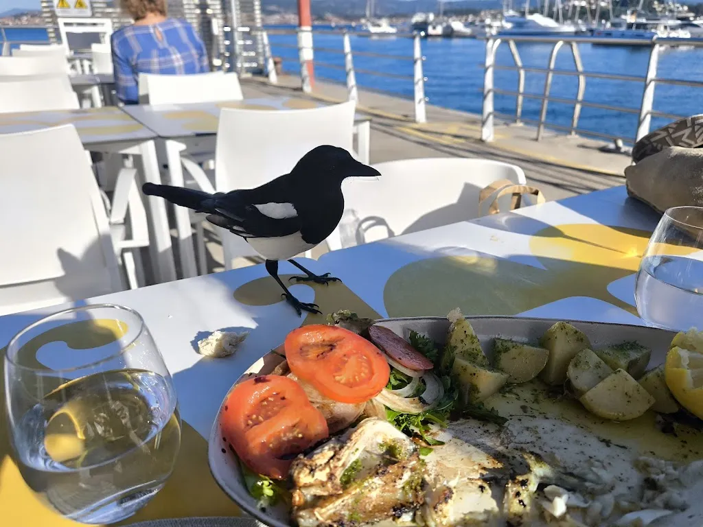 Menu_A Nasa - Estación Marítima Baiona_Baiona_image_6