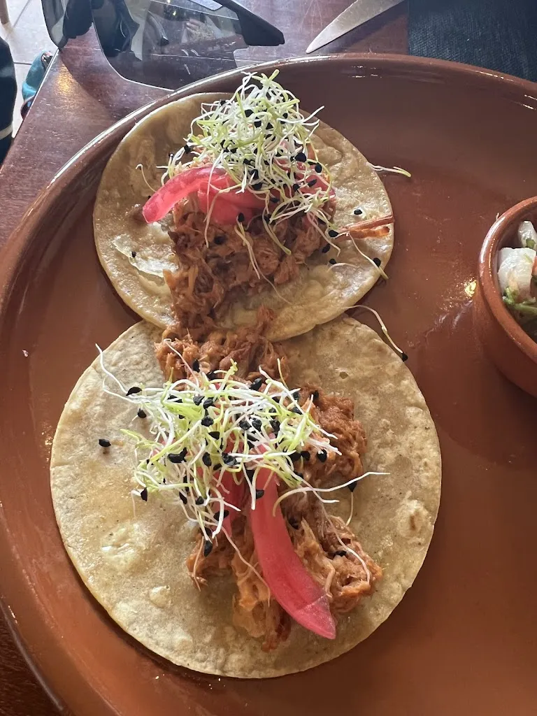 Roxana Dumitru_Cantina Comareiro_Cerdedo_review