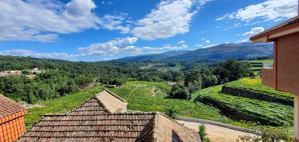 Scott Toscano_O Palancas - Restaurante_Crecente_review