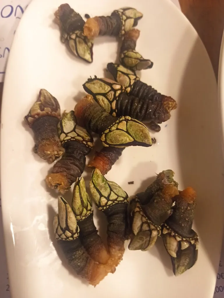 Menu_A Fonte Do Viño_Cambados_image_8