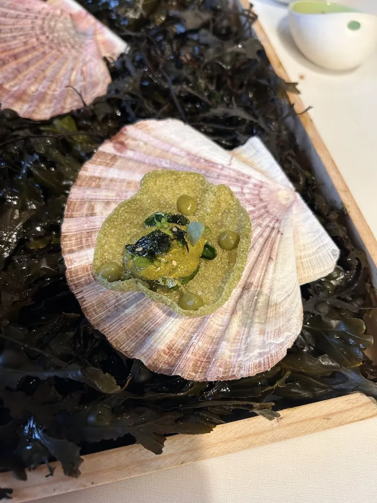 Archie Howells_Yayo Daporta_Cambados_review