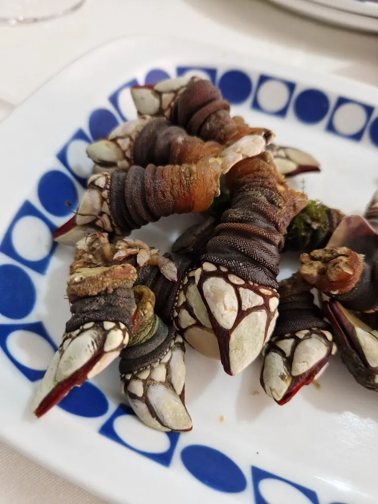 Mona Fåberg_Posta do Sol_Cambados_recensione